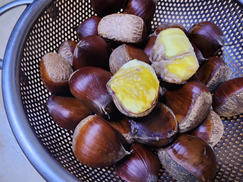 냉동 밤삶기 밤삶는법(방법) 밤찌기 찌는법 삶는 찌는시간 밤 요리 레시피 아이들간식
