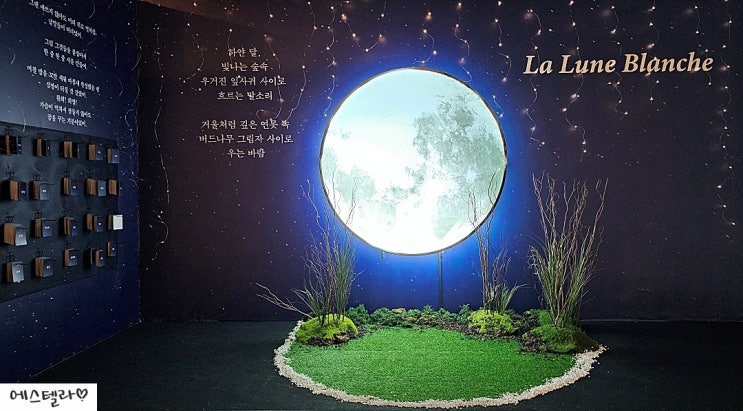  뮤지컬 랭보 팝업 뮤즈 드 랭보 방문 후기