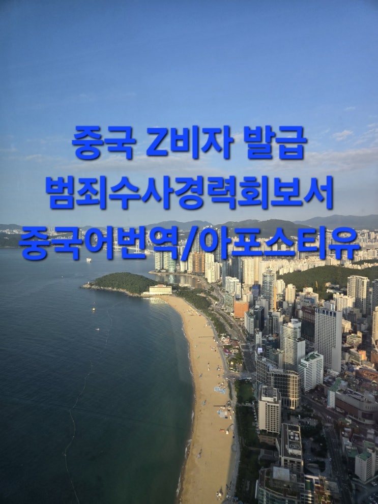  중국 Z비자 발급용 범죄경력회보서 아포스티유