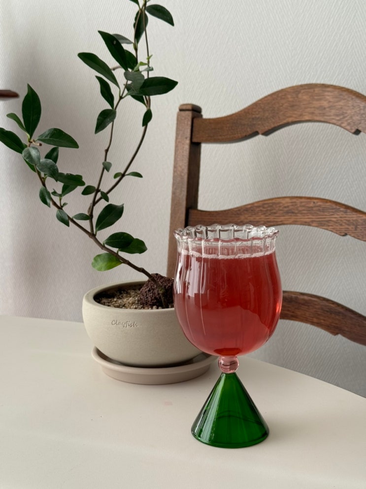 오설록 콤부차 카페인 낮은 리치피치 Kombucha 오설록 콤부차 카페인 낮은 리치피치 Kombucha