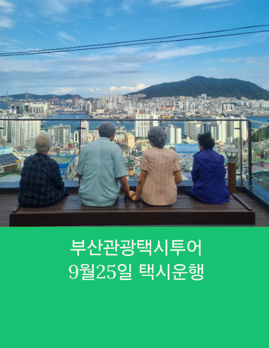  부산택시투어 부모님효도여행 부산관광택시