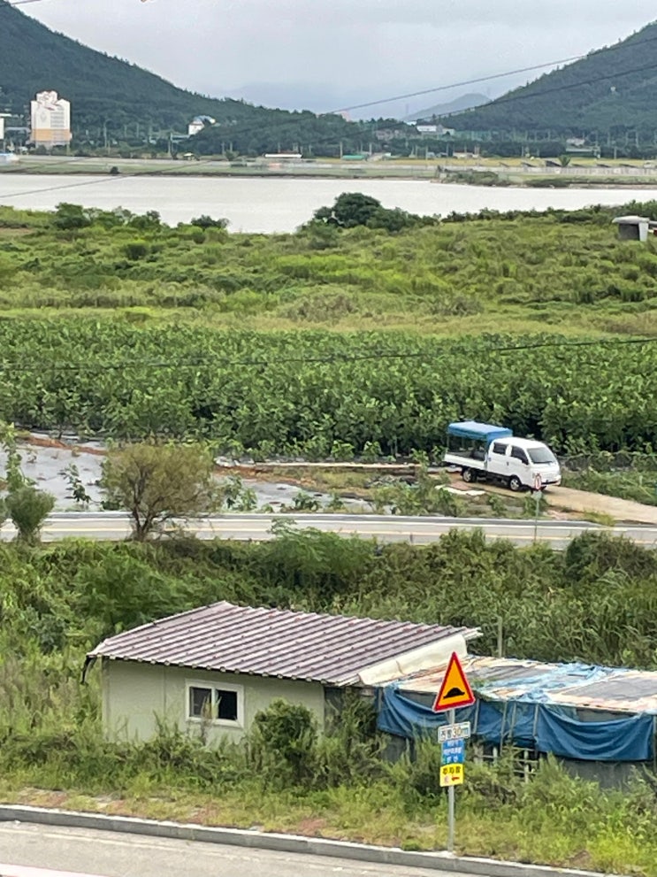  목포 숙소 | 목포여행 시 아늑함을 느끼기 좋은 고하도 바닷가하얀목화밭 펜션