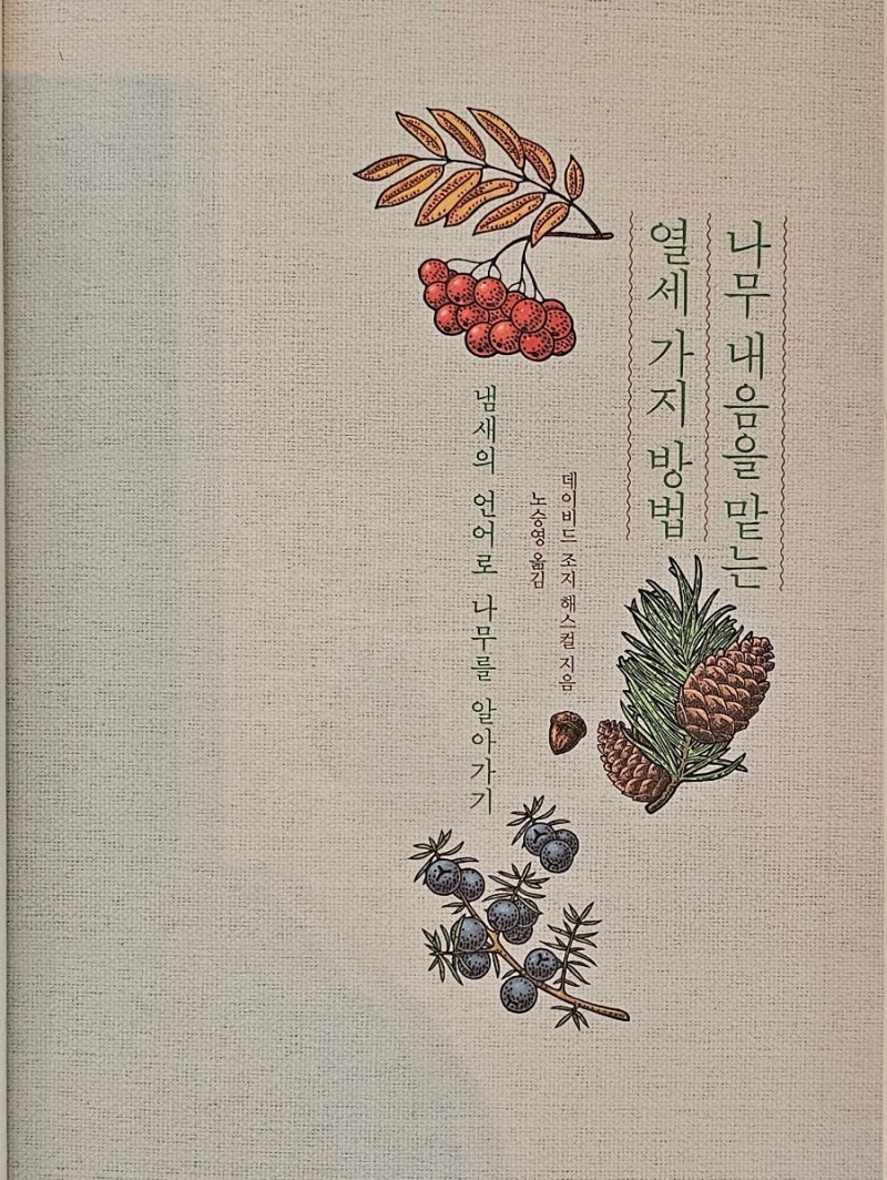 서평]나무 내음을 맡는 열세가지 방법 : 네이버 블로그, image size:800x1064