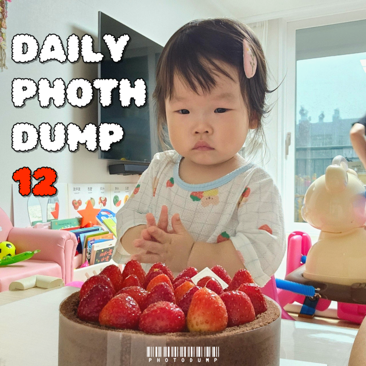  일상 포토 덤프 12회차 단단이와 나의 두번째 생일 맞이하기