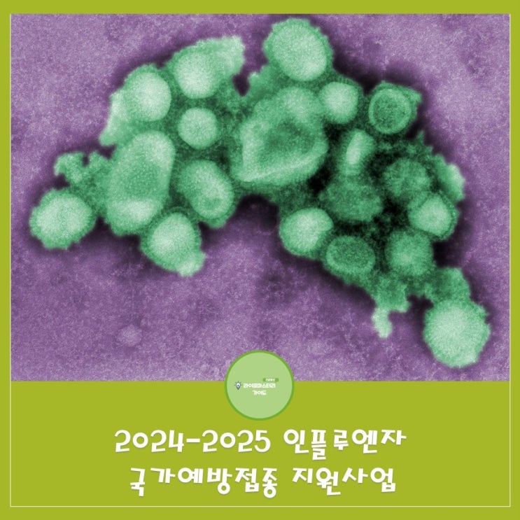 바이러스로 부터 안전한 생활 |국가 인플루엔자 예방접종 지원사업[질병관리청,전국보건소 문의]