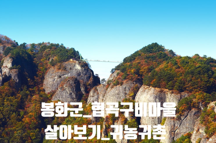  경북 봉화_협곡구비마을_살아보기_귀농귀촌