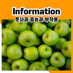 풋사과 효능과 부작용 칼로리 정보