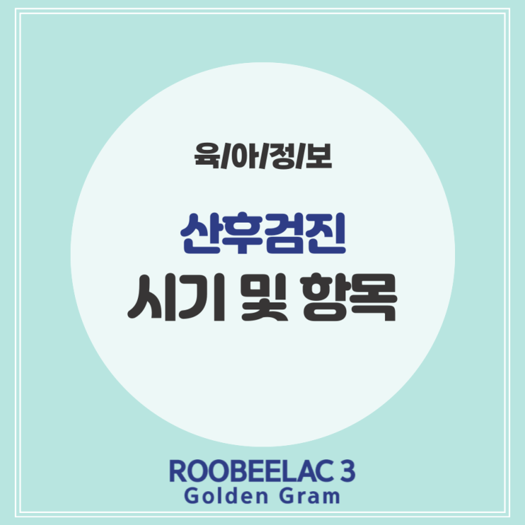  출산 후 산후검진 필수 시기 항목 by. 덴마크 슈퍼 프리미엄 분유 루비락 3