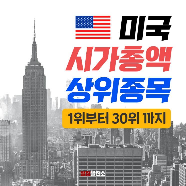  미국 시가총액 상위 종목 주식 순위 TOP 30 알아보자!