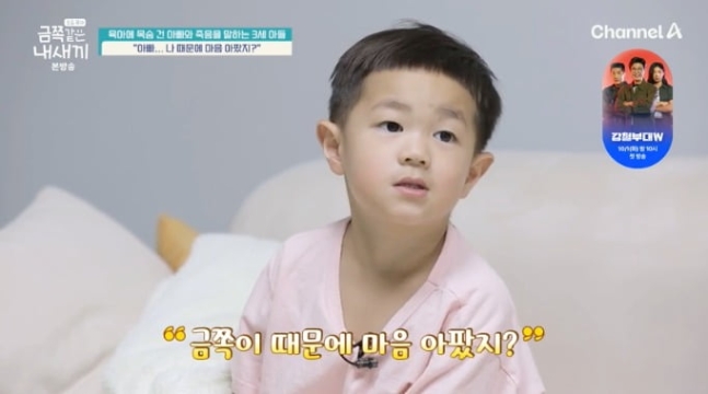 육아에 목숨 건 아빠 죽음을 말하는 3세 금쪽이 아들 요즘육아 금쪽같은 내새끼 육아에 목숨 건 아빠 죽음을 말하는 3세 금쪽이 아들 요즘육아 금쪽같은 내새끼