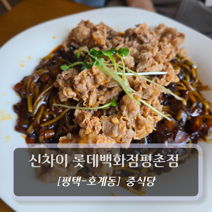  [안양-호계동, 중식당] 신차이 롯데백화점평촌점 - 범계역 맛집