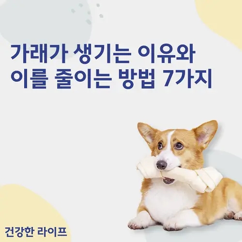  가래가 생기는 이유와 이를 줄이는 방법 7가지