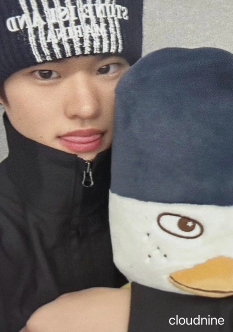 I Really Want RIIZE Sohee's Ttolbyeong Goods (Giant Ttolbyeong)