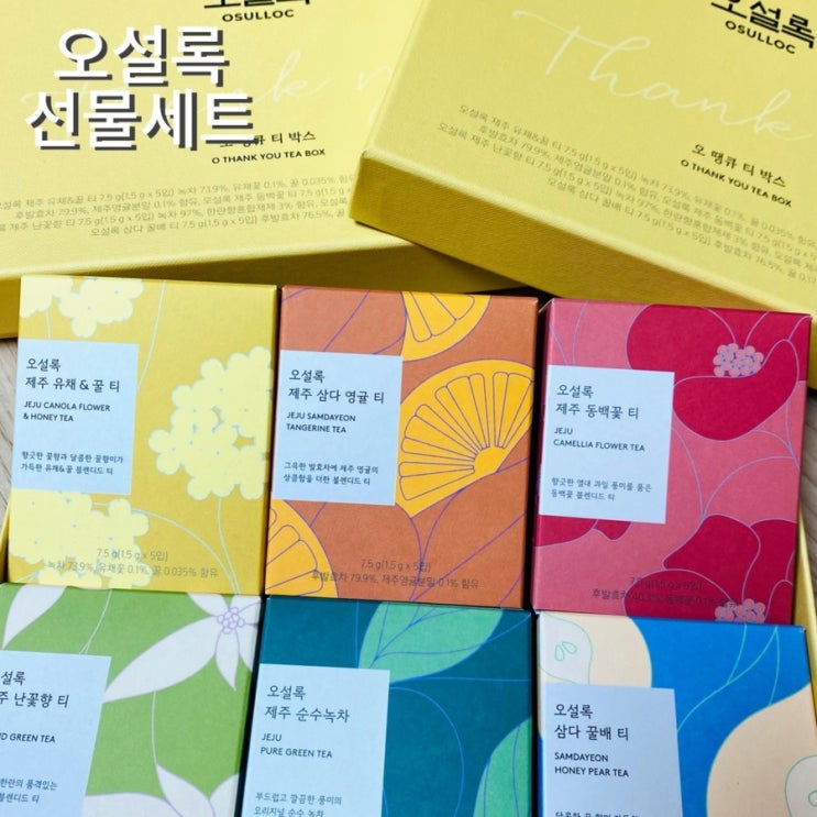  오설록 선물세트 티세트 차선물 합리적인 가격 추천