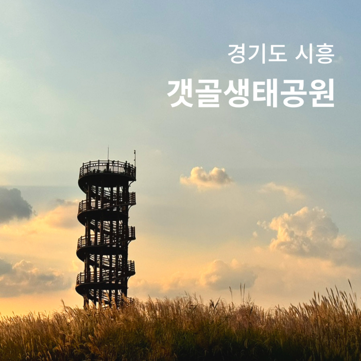  시흥 갯골생태공원 축제 방문 리뷰 가수 경기도 갈대밭