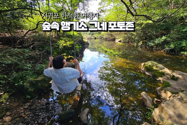  제주 서귀포 여행 행기소 한적한 관광지 숲 사진찍기 좋은곳