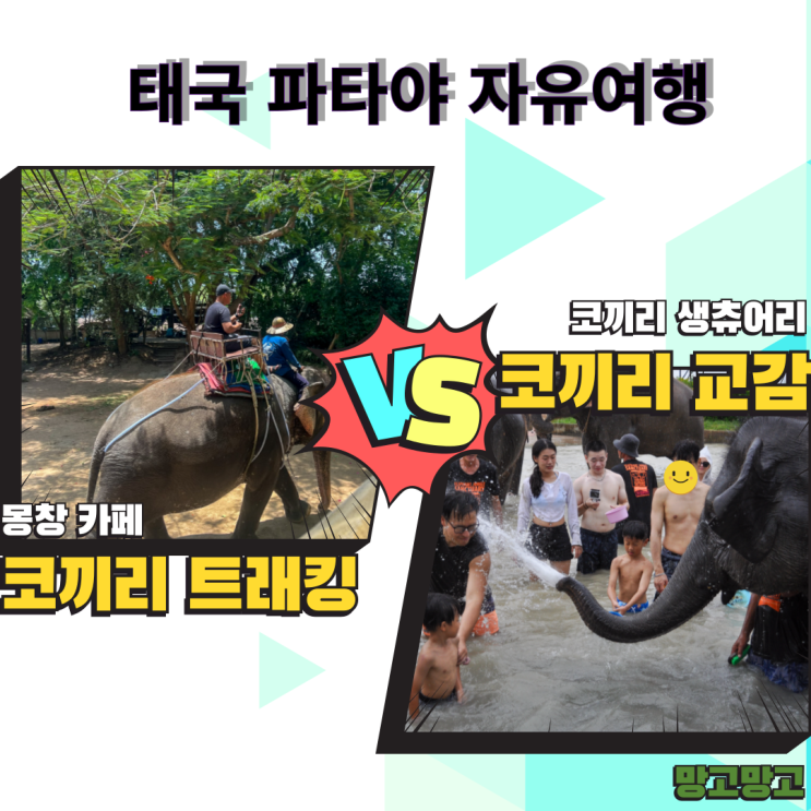  태국 파타야 자유여행 : 몽창 카페 코끼리 트래킹 vs 코끼리 생츄어리