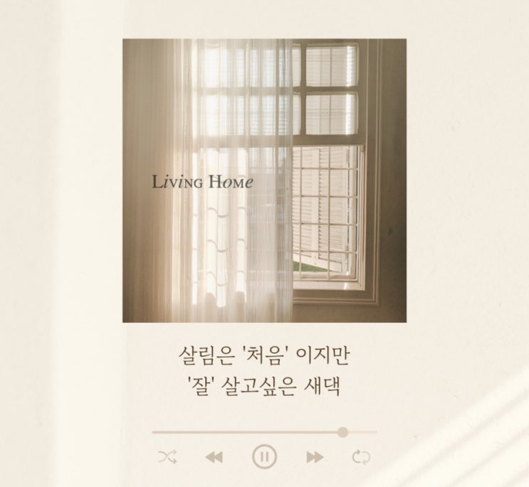  10년차 블로거 두번째 블로그 , 리빙블로그로 정한 3가지 이유
