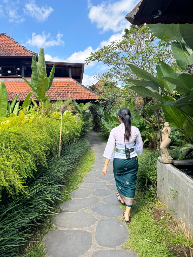  발리 우붓 숙소 추천 가성비 자파 스위트 앤 빌라 JAPA Suites & Villas 풀 액세스