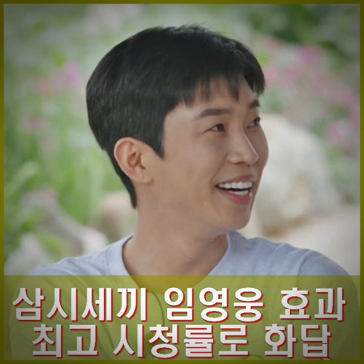 <b>삼시세끼</b> 라이트 <b>임영웅</b> 효과, 출연으로 최고 시청률. 조수역할... 