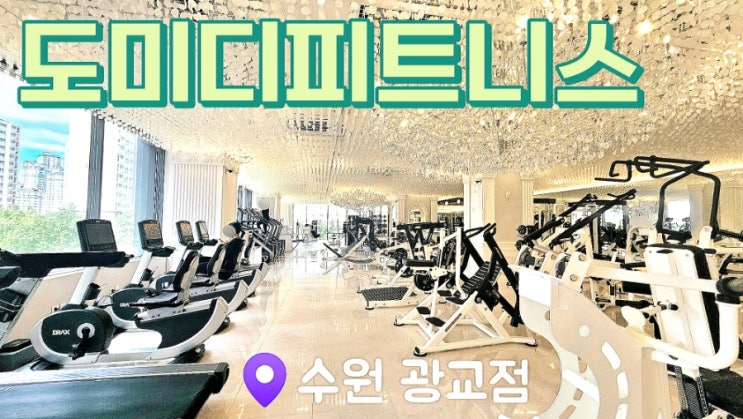  [광교PT] 도미디피트니스 광교점