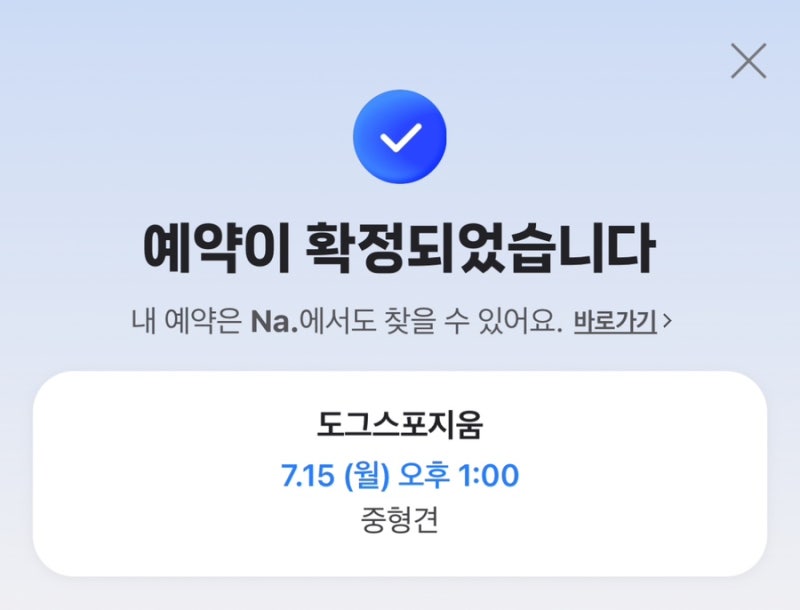 사진 4