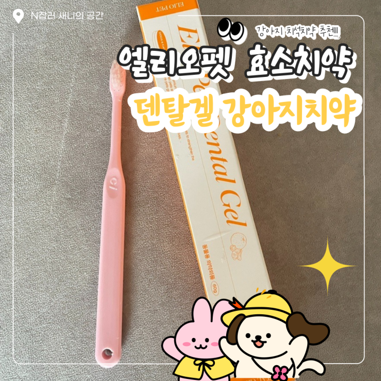  강아지 치약 : 완벽한 치석제거 엘리오펫 덴탈겔 후기