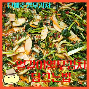 단배추열무김치, 얼갈이열무김치 담그는법