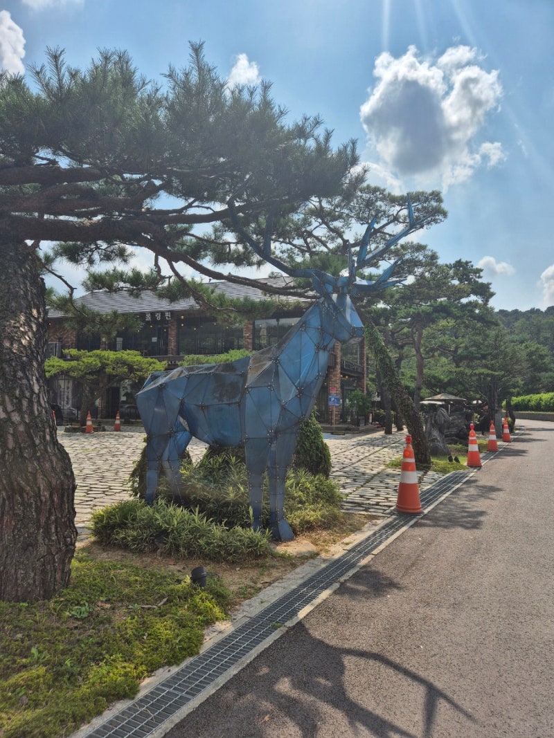 사진 5