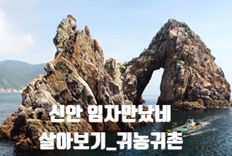  전남 신안_임자만났네_살아보기_귀농귀촌