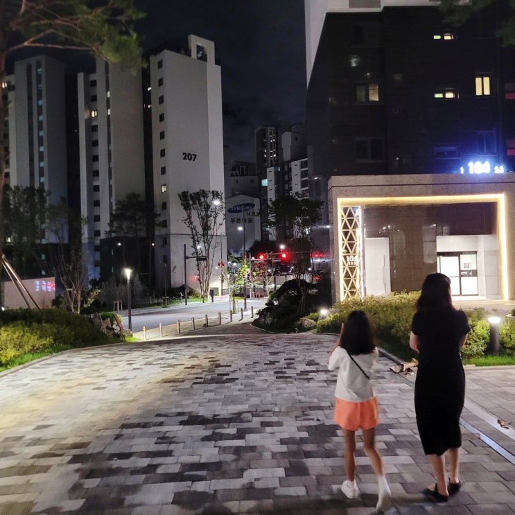  평촌트리지아 입주 아파트 단지모습 (평촌 새아파트 가격)