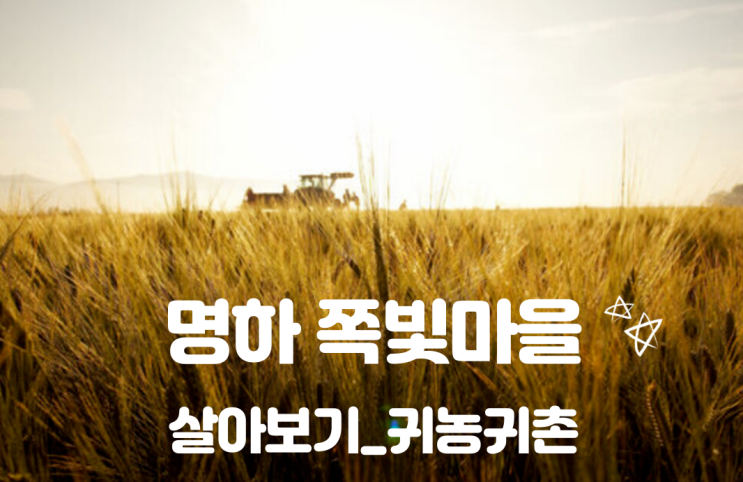  전라 나주_명하 쪽빛마을_살아보기_귀농귀촌