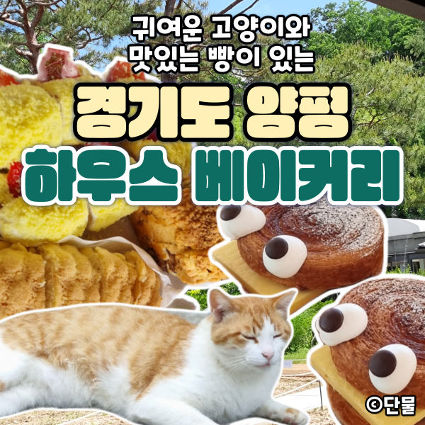  [경기/양평] 드라이브 데이트 추천 카페 : 하우스 베이커리