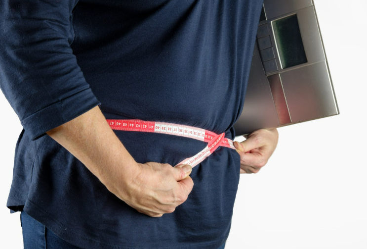 비만 성인의 단백질 섭취가 제지방량과 근육에 미치는 영향! 비만 성인의 단백질 섭취가 제지방량과 근육에 미치는 영향!