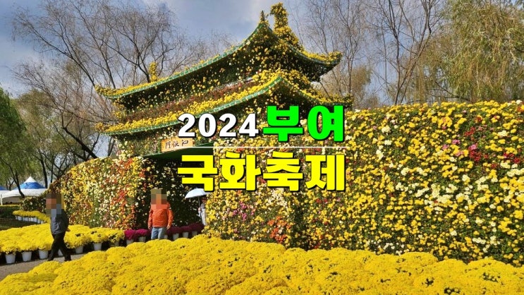 충남 부여 가볼만한곳 서동공원 궁남지 가을꽃축제 · 2024 백제고도 부여국화축제 기본정보 충남 부여 가볼만한곳 서동공원 궁남지 가을꽃축제 · 2024 백제고도 부여국화축제 기본정보