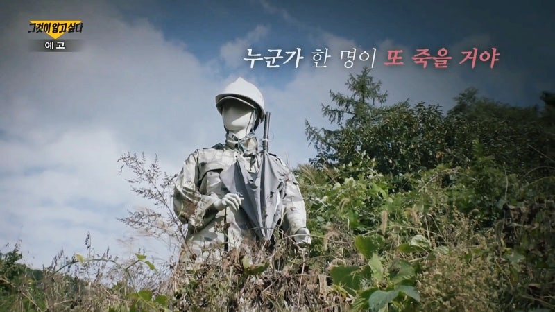 사진 5