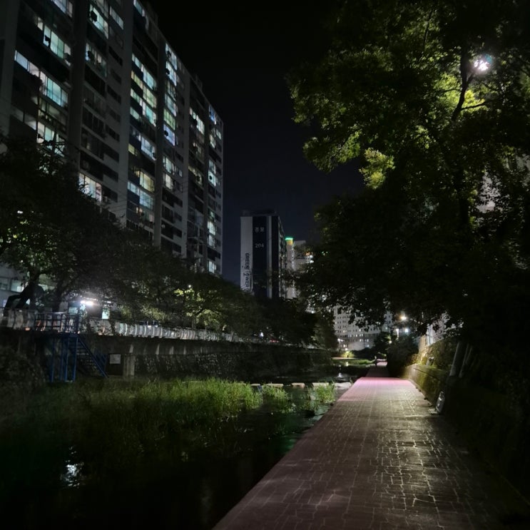  말로만 다이어트한 9월 마지막 일상