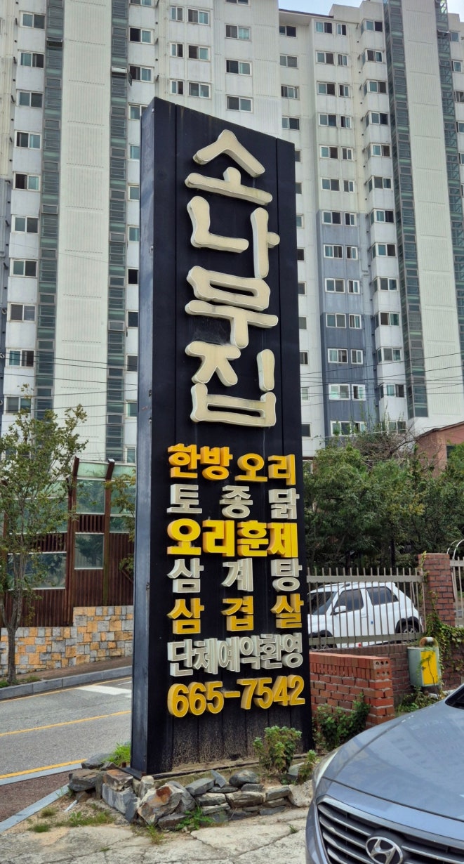 소나무집 사진 3