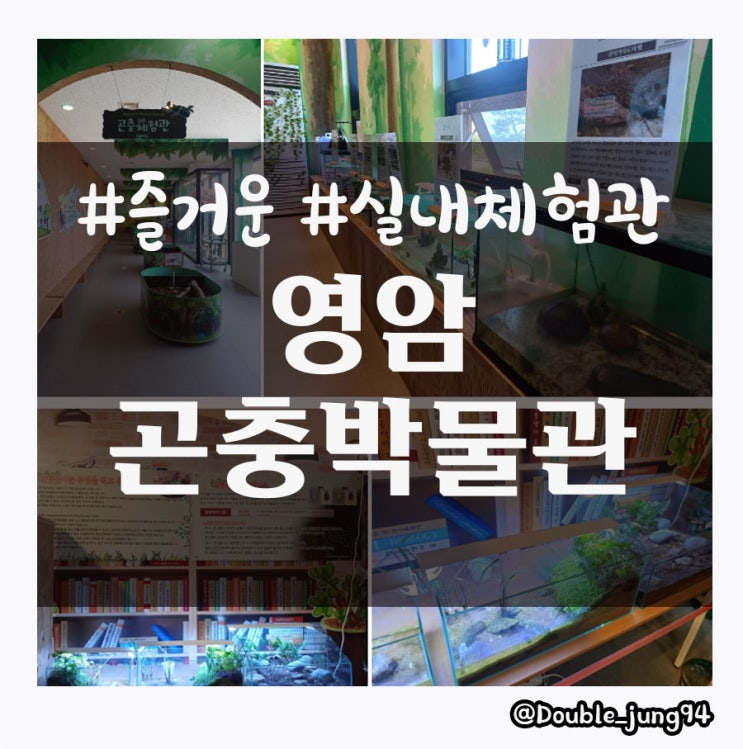  아이들과 함께 가기 좋은 전남 실내 여행지 영암곤충박물관