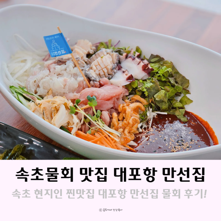 속초물회 대포항 만선집 애견동반 가능한 속초 현지인 찐맛집 속초물회 대포항 만선집 애견동반 가능한 속초 현지인 찐맛집