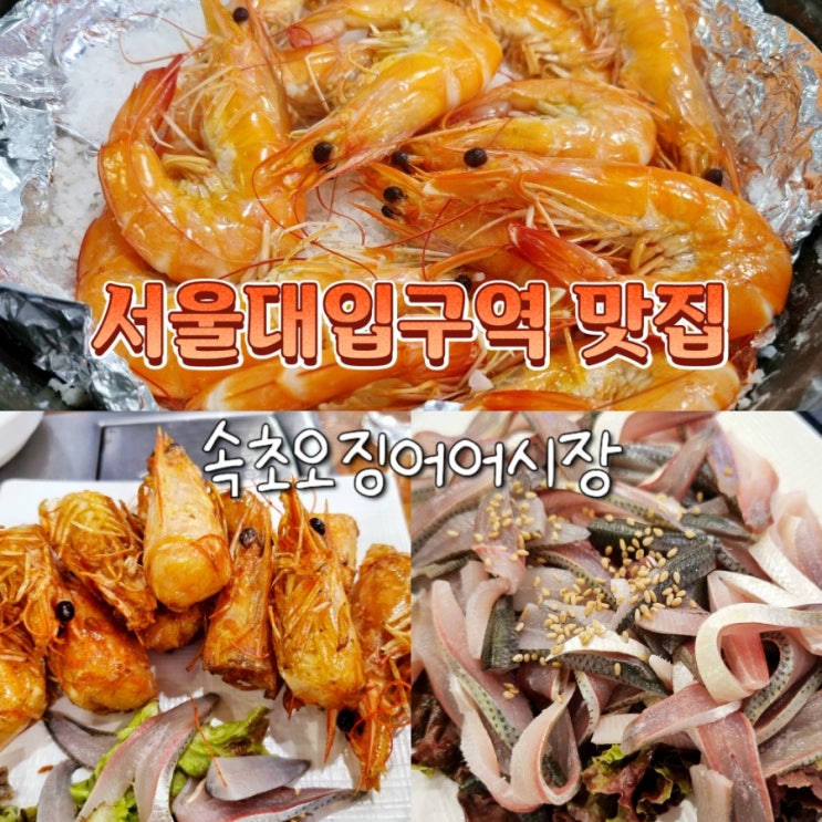  서울대입구역 샤로수길 가성비 횟집 속초오징어어시장 대하구이, 전어회