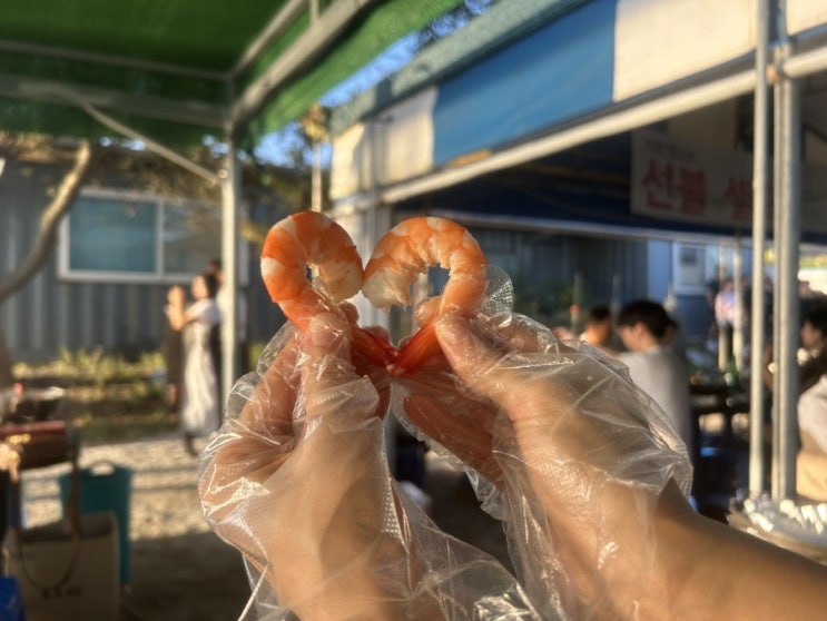  강화 '해운정' 새우구이와 라면 맛집 후기 (주변 명소, 웨이팅 없이 입장 방법)