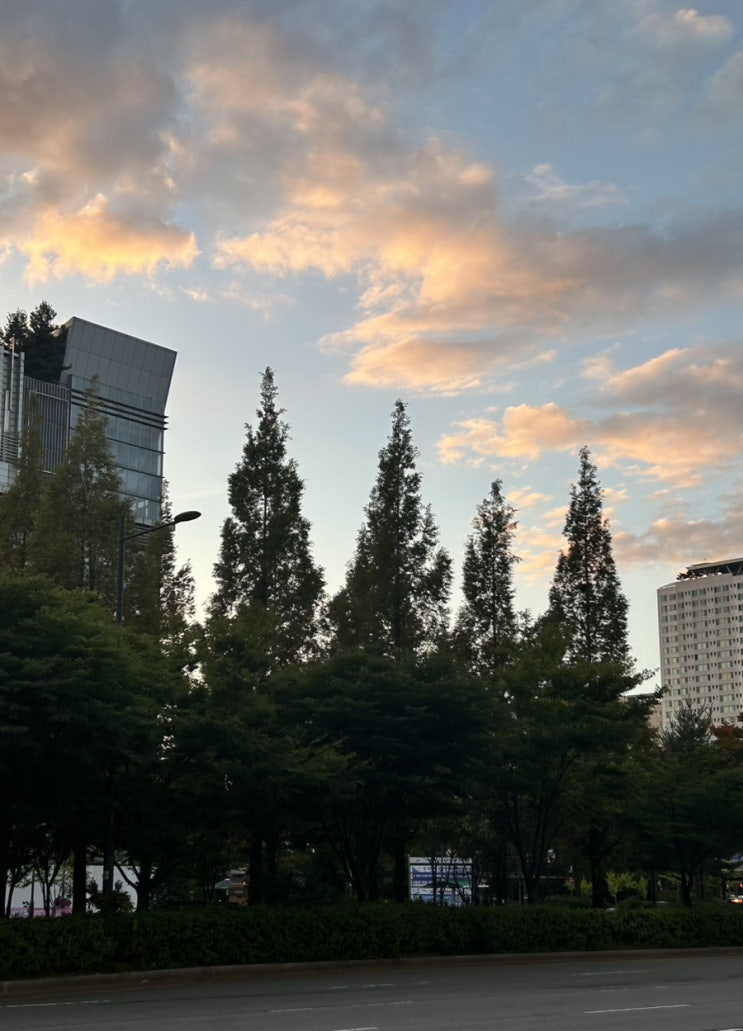  포토덤프 4주차 | 9월 넷째주 일상