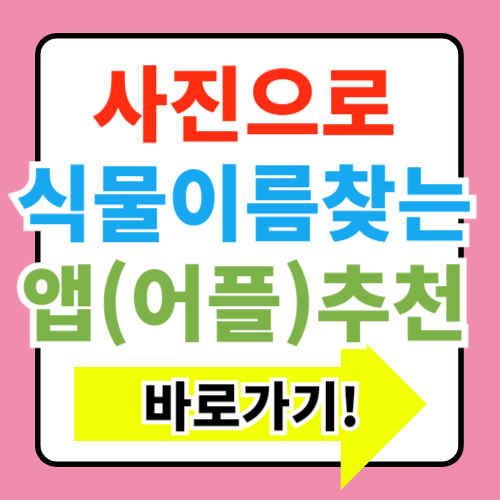  사진으로 식물 이름 찾기 가능한 어플 총정리