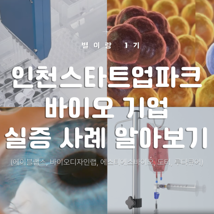  [별이랑 1기] 인천스타트업파크 바이오헬스 기업 실증 우수사례 알아보기