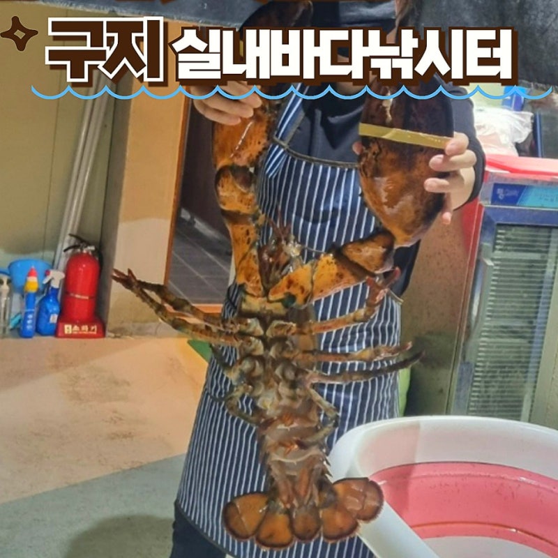대구) 구지실내바다낚시터, 대구바다낚시, 아이들과 낚시체험추천
