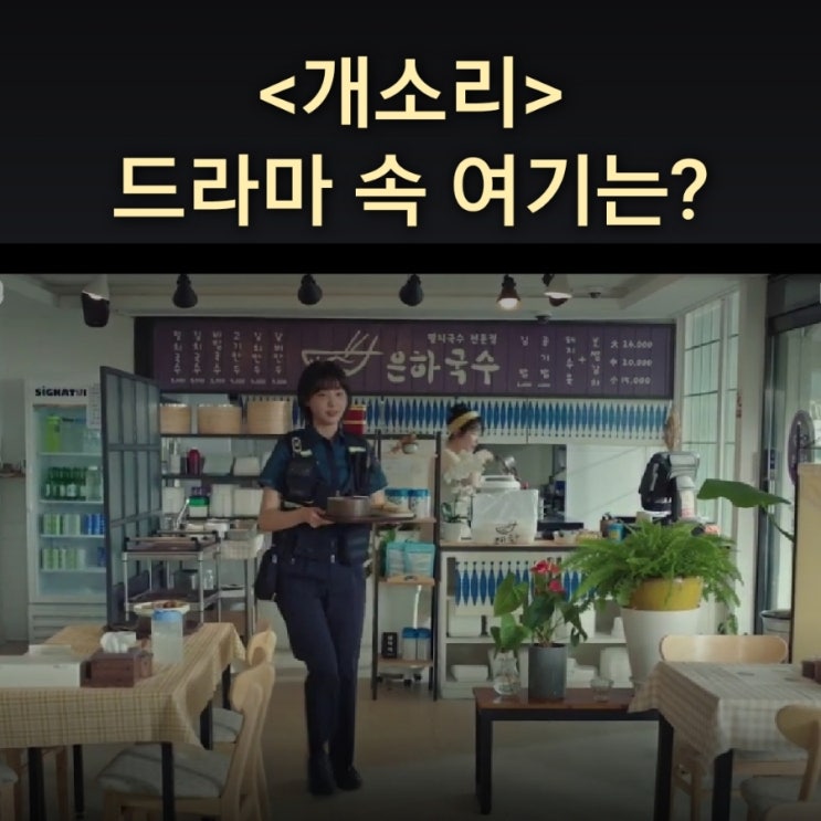  초원 엄마가 하는 은하국수집은? 플라워카페 꽃섬집 KBS2 개소리 드라마 촬영지 거제가볼만한곳