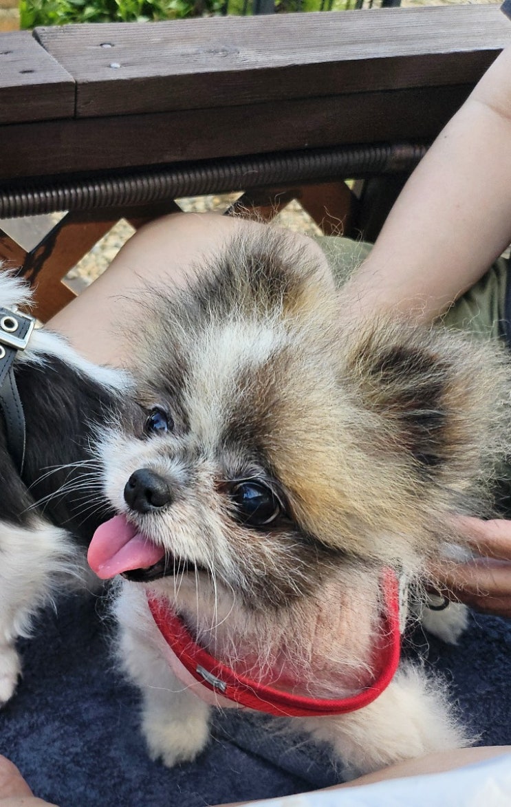  행복하게 지내자