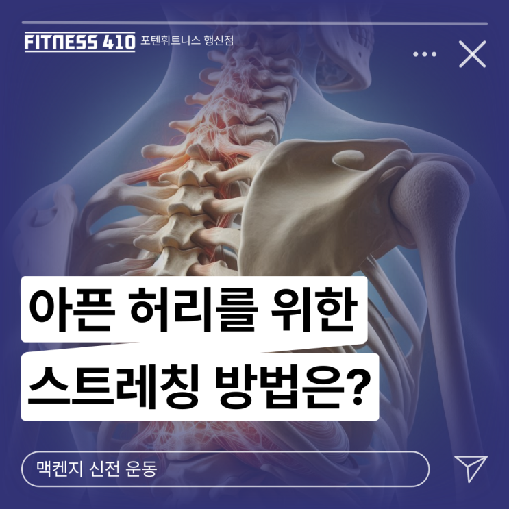  허리 디스크에 도움이 되는 스트레칭! 행신헬스 행신헬스장 행신PT 행신피티