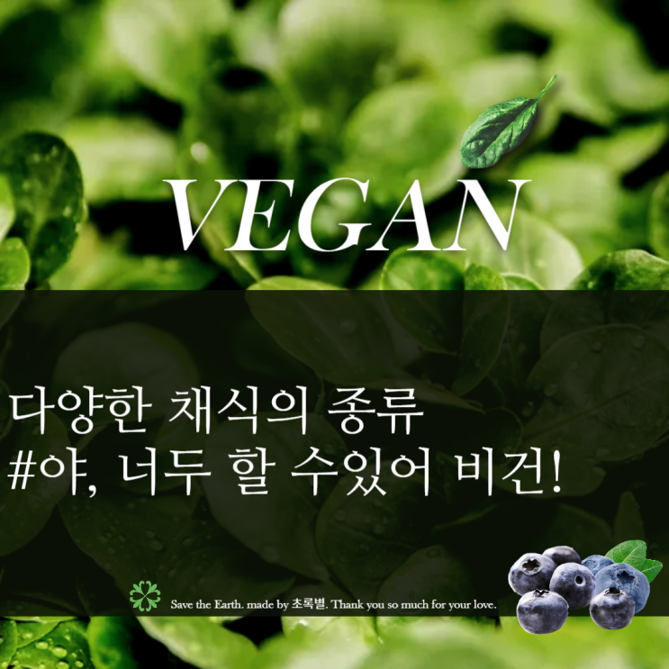  비건의종류 7가지. 베지테리언 이효리 따라하기